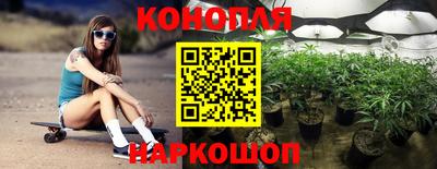 прущие грибы Комсомольск-на-Амуре