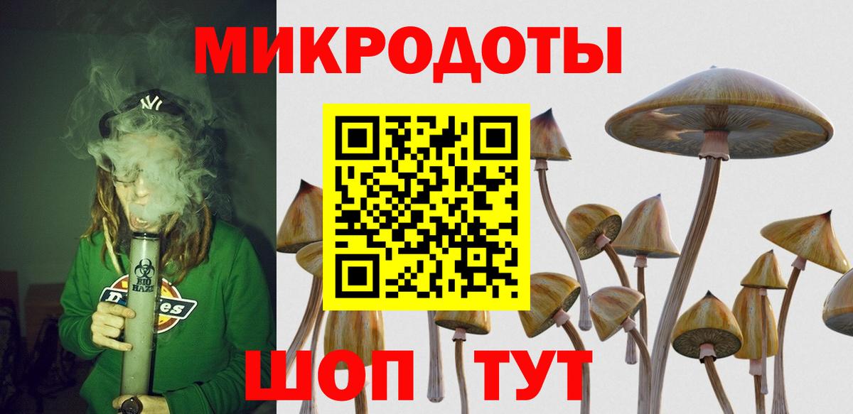 Псилоцибиновые грибы Psilocybe  Вход с VPN  Кольчугино 